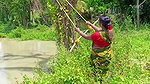 Amazing Village women Fishing    Incredible Fishin