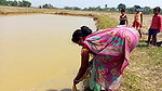 Amazing Village women Fishing    Traditional Net F