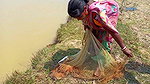 Amazing Village women Fishing    Traditional Net F
