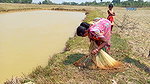 Amazing Village women Fishing    Traditional Net F