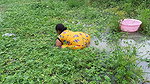 Amazing village women fishing    Women fishing Til