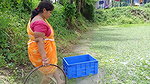 Amazing Village women Hand fishing   Unique fishin