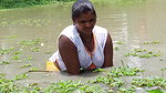 Amazing Village women Hand fishing   Village women