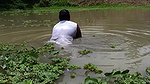 Amazing Village women Hand fishing   Village women