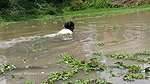Amazing Village women Hand fishing   Village women