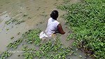 Amazing Village women Hand fishing   Village women