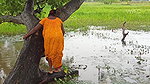 Amazing Village women Hook fishing in Rain   Villa