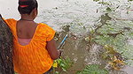 Amazing Village women Hook fishing in Rain   Villa