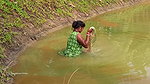 Amazing Village Women Hunting Carp fish with cast