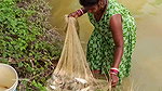 Amazing Village Women Hunting Carp fish with cast