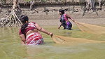 Amazing Village Women incredible  Net Fishing for