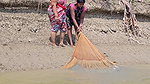 Amazing Village Women incredible  Net Fishing for