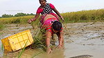 Amazing Village Women Incredible Fishing   Big Mur