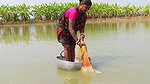 Amazing Village Women Incredible Fishing   Daring