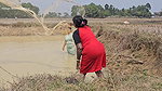 Amazing Village Women incredible Net fishing Video