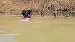 Amazing Village Women Mouni net fishing in Village