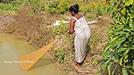 Amazing Village Women Mouni net fishing in Village