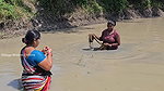Amazing Village Women mud Water Fishing video    গ