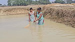 Amazing Village Women Net fishing in Muddy pond