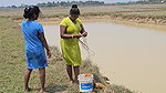 Amazing Village Women Net Fishing in Muddy Water