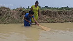 Amazing Village Women Net Fishing in Muddy Water
