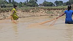 Amazing Village Women Net Fishing in Muddy Water