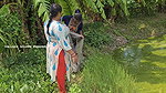 Amazing Village Women Net Fishing in Village fish