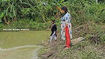Amazing Village Women Net Fishing in Village fish