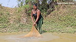 Amazing Village Women Net Fishing in Village pond