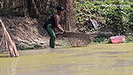 Amazing Village Women Net Fishing in Village pond