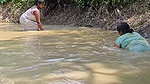 Amazing Village Women Net Fishing Video in Mud Wat