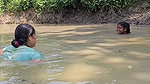 Amazing Village Women Net Fishing Video in Mud Wat