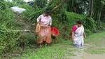 Amazing Village Women Net Fishing Video in Village