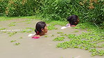 Amazing Village Women Net Fishing Video in Village