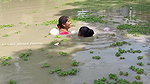 Amazing Village Women Net Fishing Video in Village