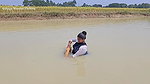 Amazing Village Women Net Fishing Video    Village