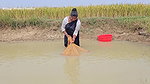 Amazing Village Women Net Fishing Video    Village