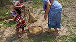 Amazing Village Women net fishing   Best fishing v