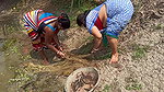 Amazing Village Women net fishing   Best fishing v