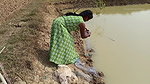 Amazing Village Women Net fishing   Big fish catch