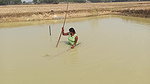 Amazing Village Women Net fishing   Big fish catch