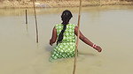 Amazing Village Women Net fishing   Big fish catch