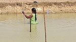 Amazing Village Women Net fishing   Big fish catch