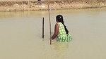 Amazing Village Women Net fishing   Big fish catch