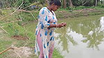 Amazing village women net fishing   Big Piranha fi
