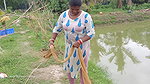 Amazing village women net fishing   Big Piranha fi