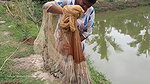 Amazing village women net fishing   Big Piranha fi