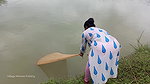 Amazing village women net fishing   Big Piranha fi