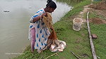 Amazing village women net fishing   Big Piranha fi