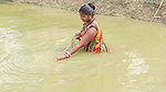 Amazing Village Women Net fishing   Mouni catching